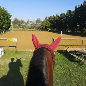 Hébergement de vacances Du Poney Fringant - Prancing Pony, Saint-Paul-Trois-Châteaux